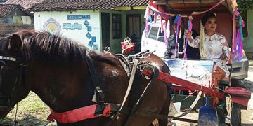 Sepasang Pengantin Memilih Dokar Untuk Pergi Ke KUA