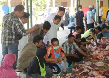 15.000 Hewan Qurban Disembelih di Karanganyar